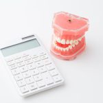 電卓と歯の模型